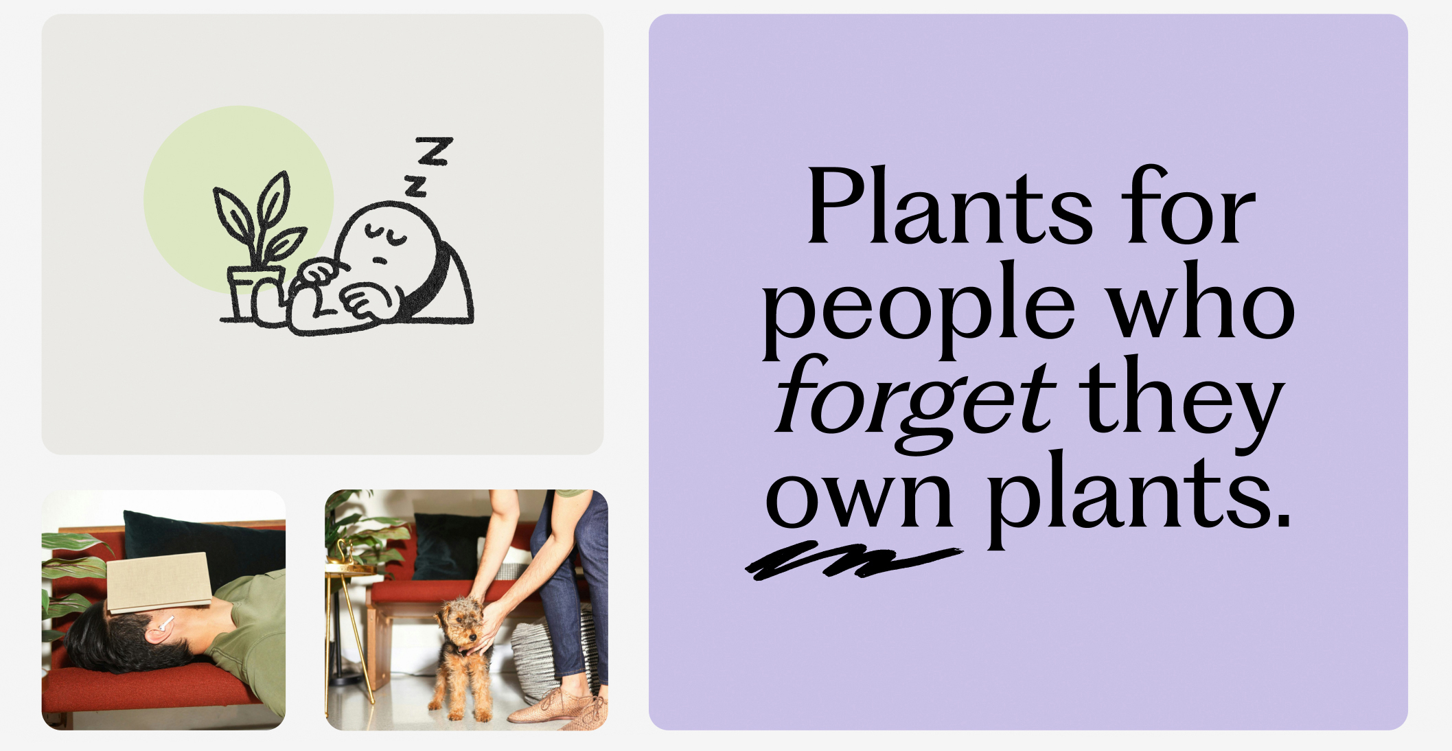 plants02c