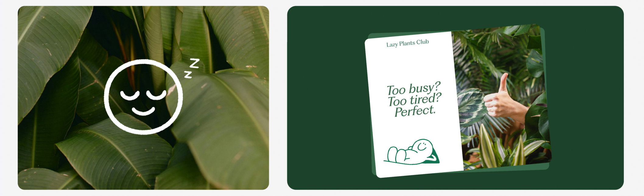 plants03